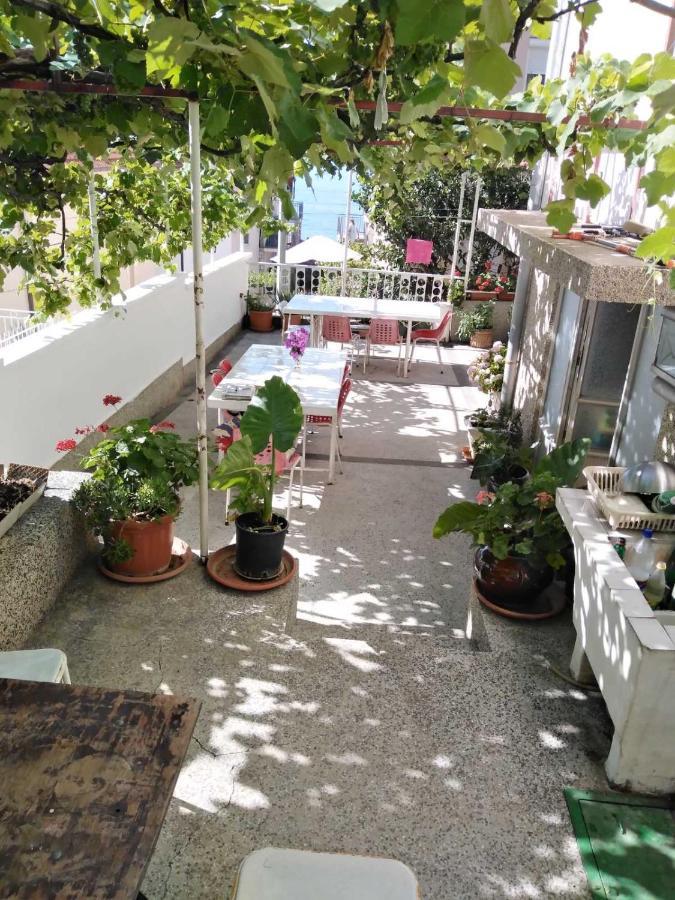 波达卡 Vila Stefan酒店 外观 照片